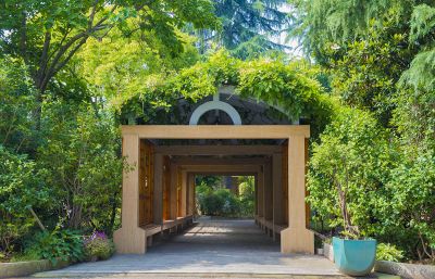 公司东厂区一角